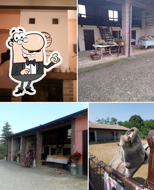 Puoi goderti l'aria fresca da seduto all'esterno di Casa Rosa