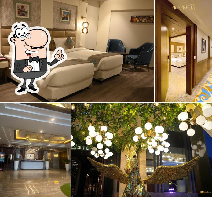 The interior of Hotel Apricia: by Rigal Blu
