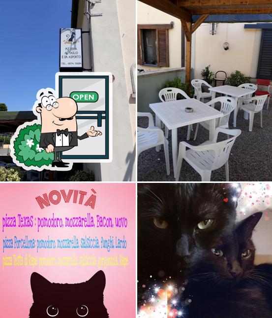 Gli esterni di Il Gatto Nero Di Ambra Lopes