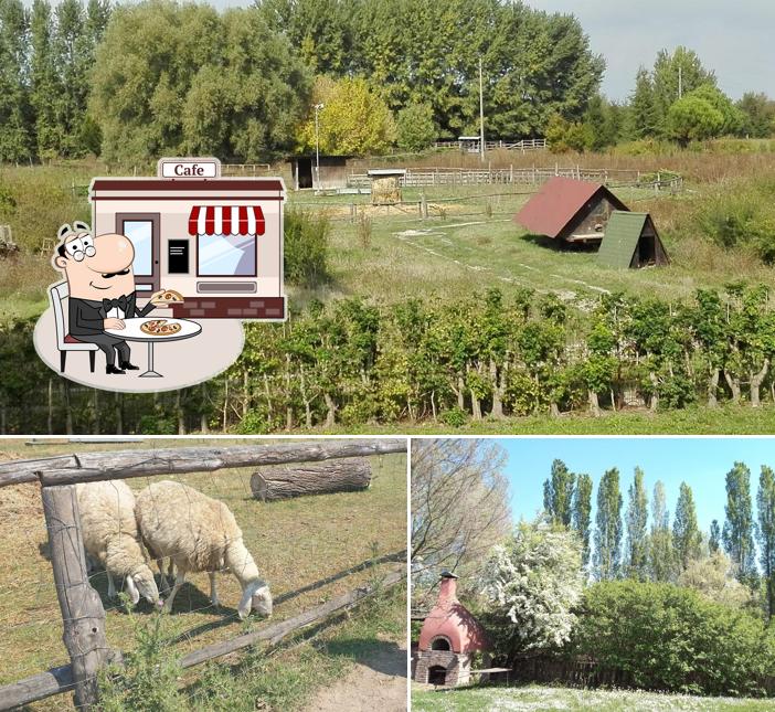 Goditi la vista dall'area esterna di Agriturismo Podere Santa Croce di Agriconcura