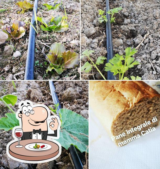 Cibo al agriturismo trattoria delle passioni