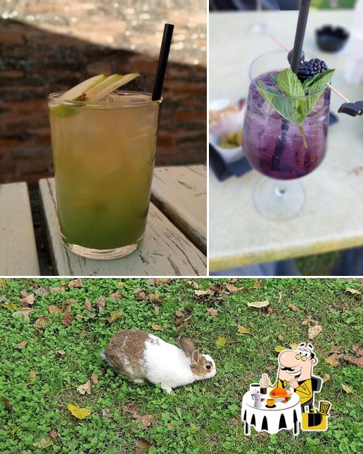 La immagine di cibo e bevanda da La Collina dei Conigli