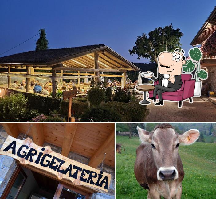 Dai un'occhiata agli interni di Agriturismo dell'Altopiano