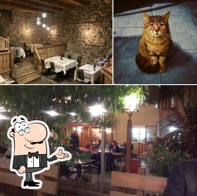 Gli interni di Ristorante Pizzeria Zur Traube