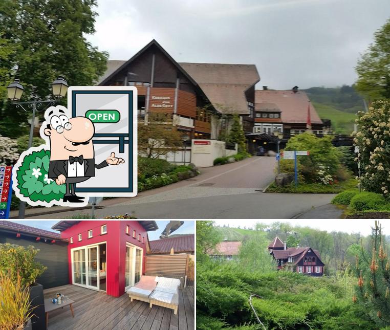 Profitez de la vue de l'espace ouvert de Hotel & Restaurant - Der Engel