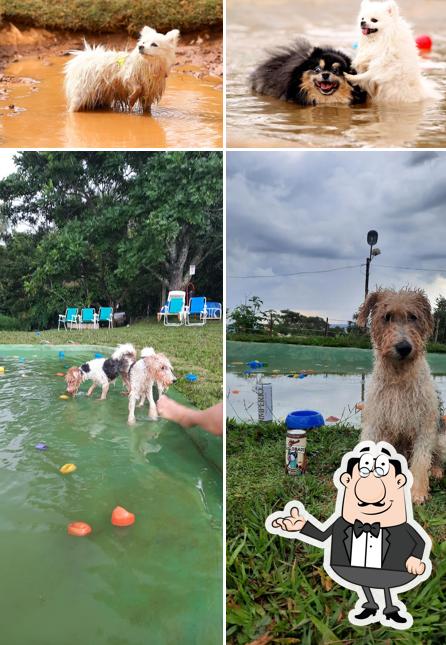 Sente em uma das mesas no DOGIN CLUB