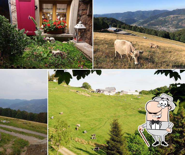 Ferme Auberge du Treh
