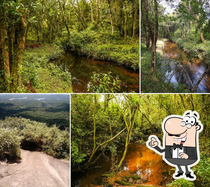 Café Colonial - Sitio Dona Helena