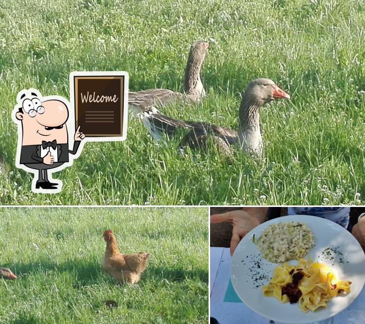 Guarda la foto di Ristorante/Agriturismo Da Cristina