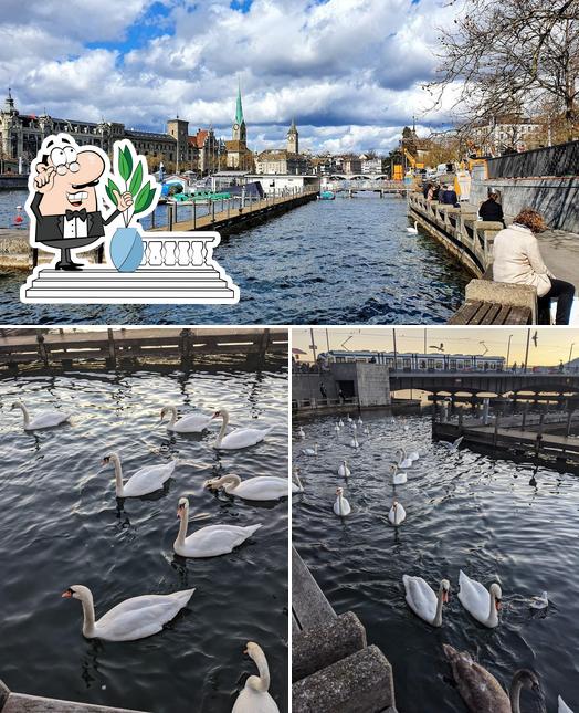 Guarda gli esterni di Imbiss Riviera