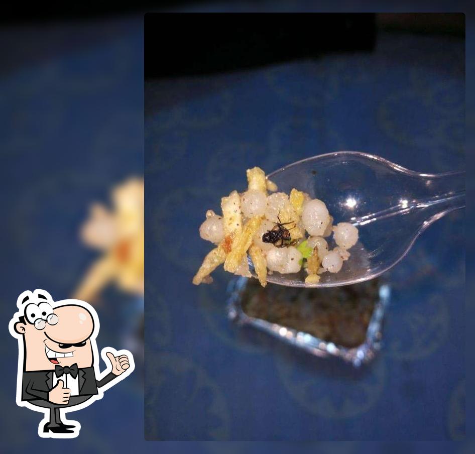 Kota Kachori & Falahar