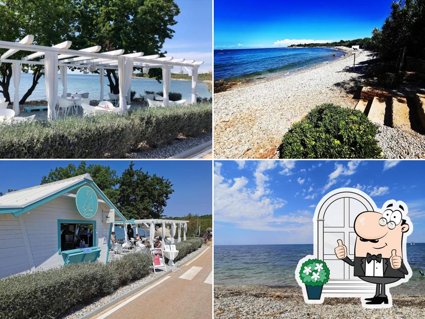 Guarda gli esterni di Dog Dreams Beach and Bar