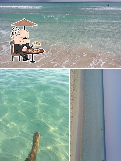 Guarda gli esterni di Cala Serena