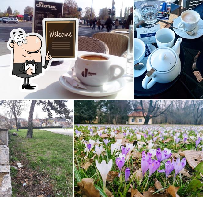 Ecco una foto di Loungebar STORM