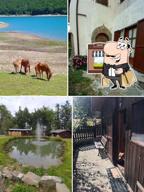 Puoi goderti l'aria fresca dal dehors di Campeggio Alta Valdenza