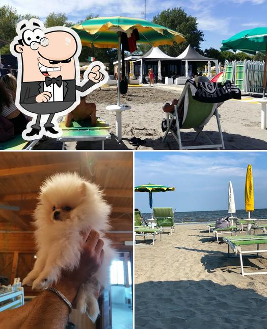 Gli esterni di Bagno Apollo Glam Beach Di Pinton Silvano