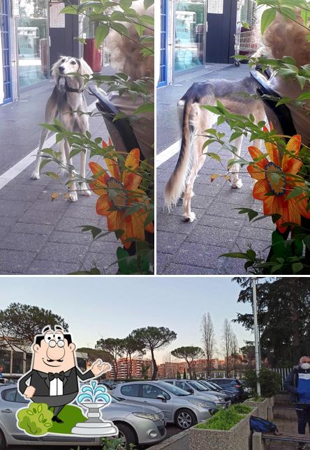 Gli esterni di Il Mandarino