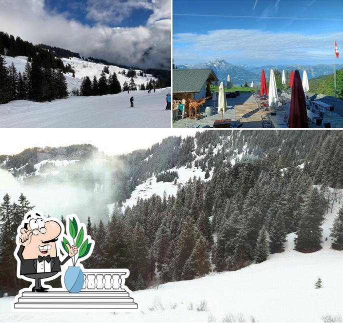 Puoi goderti l'aria fresca da seduto all'esterno di Maison de Montagne de Bretaye