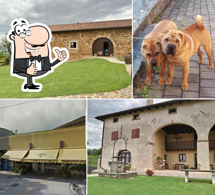 Panificio I Sapori del Grano