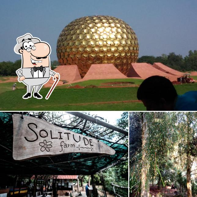 You can get some fresh air at the outside area of Solitude Farm of Auroville
