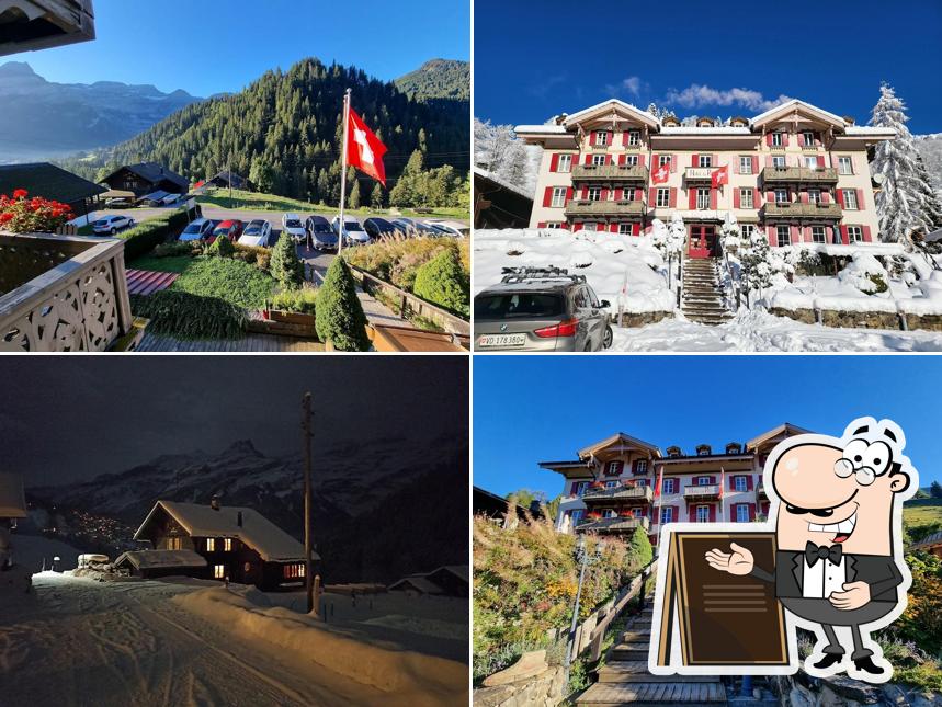Guarda gli esterni di Historic Hotel Du Pillon - Grand Chalet Des Bovets