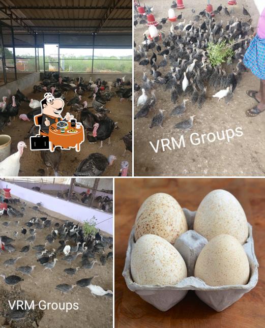 Mussels at VRM Groups
