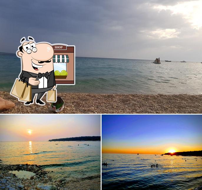 Curiosa tra gli esterni di PALMA beach bar & fine food