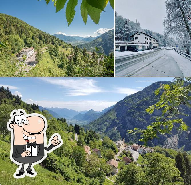 Gli esterni di albergo AL BOSCO