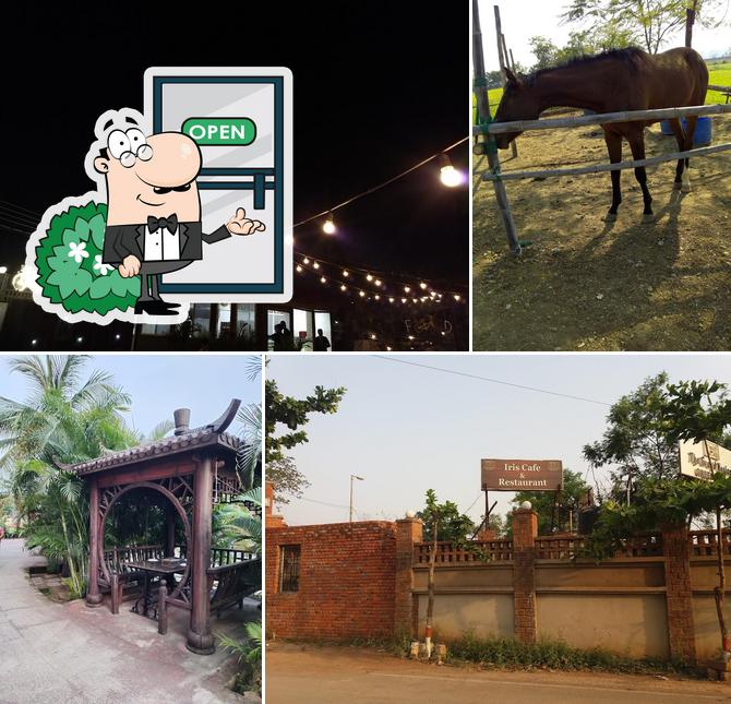 Iris Cafe