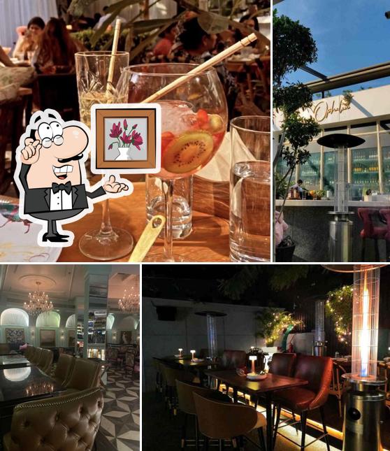 The interior of Ophelia - The Ashok