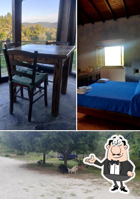 Gli interni di Agriturismo Podere i Livelli