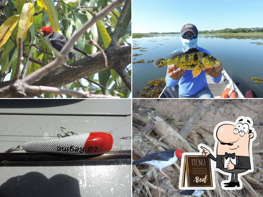 Boletti Sport Fishing