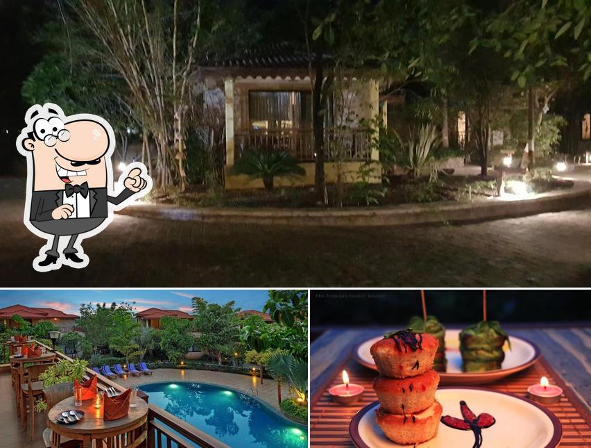 Take a look at the photo displaying exterior and dessert at The Fern Gir Forest Resort, Sasan Gir