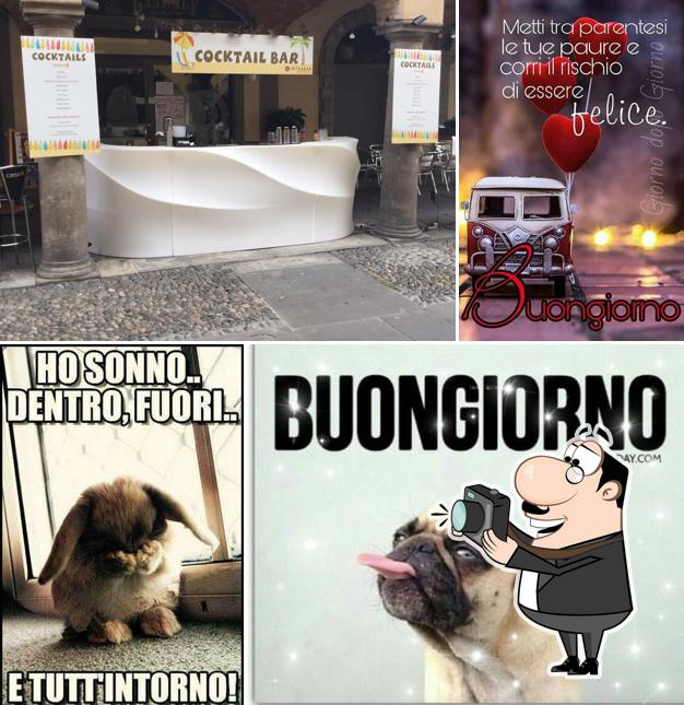Ecco un'immagine di gandalf cafè