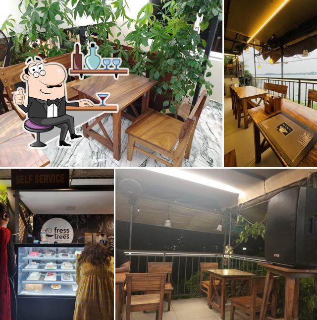 Check out how Fress Trees Garden & Cafe looks inside