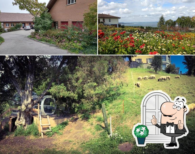 Goditi la vista dagli esterni di Hotel Arenenberg