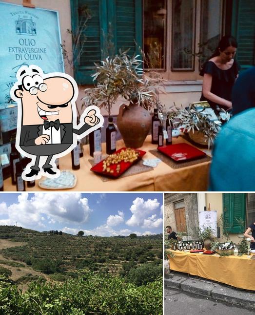 Tenuta Faugeri Olio Bio