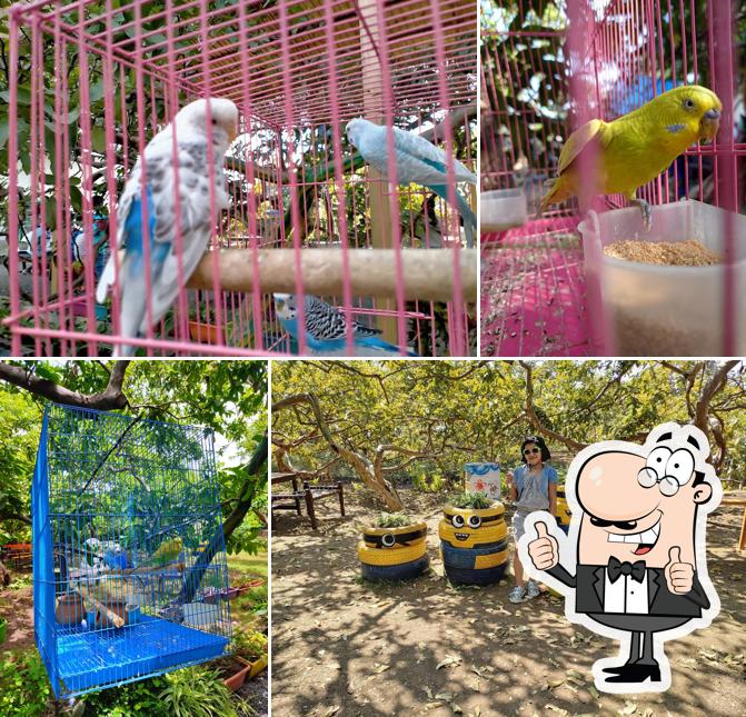 Peruchi Wadi Chulivarachi Misal