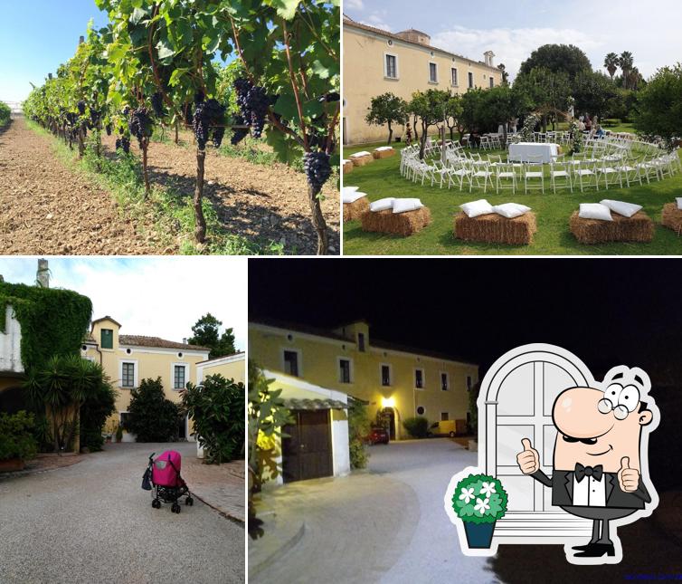 Guarda gli esterni di Masseria La Morella