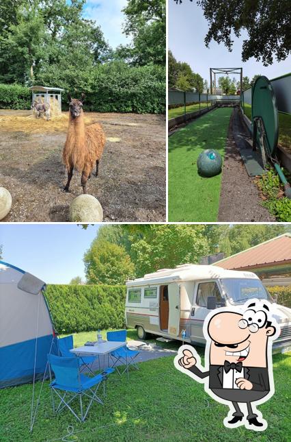 Camping le Lac à Jojo