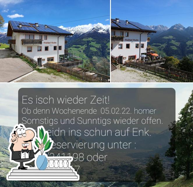 Guarda gli esterni di Gasthof Walde