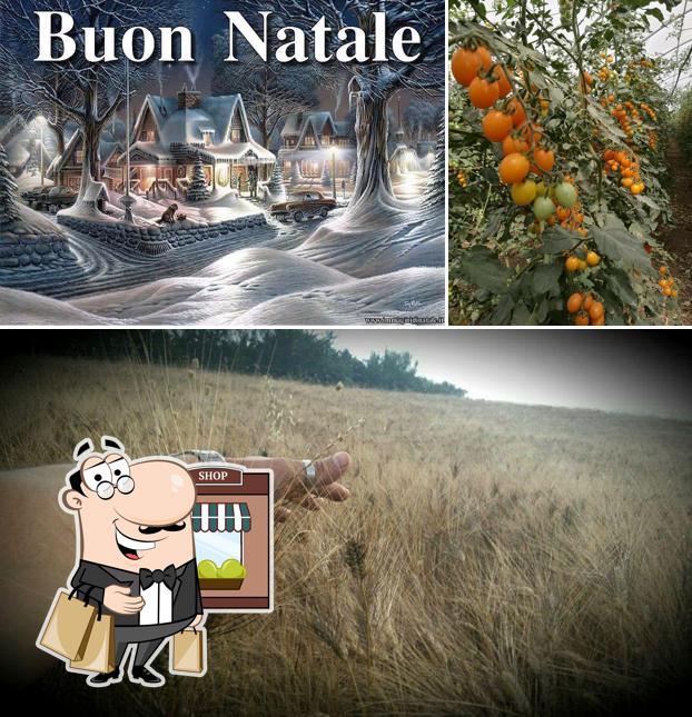 Pizzeria IL BORGO si caratterizza per la esterno e cibo