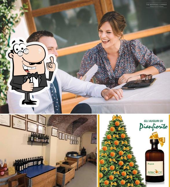 Guarda la foto di Pianfiorito