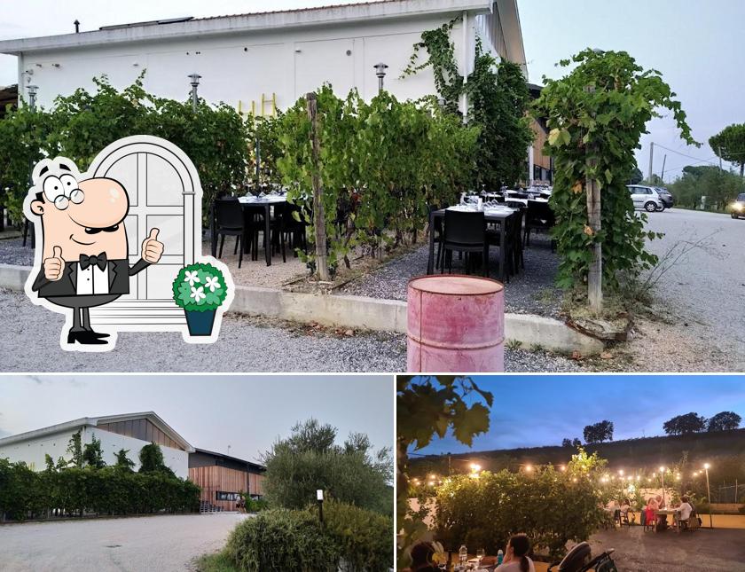 Puoi goderti l'aria fresca dal dehors di Agriturismo I filarini