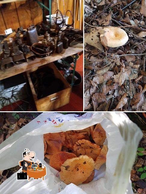 Cozze al Restaurant, Minigolf & Pingpong