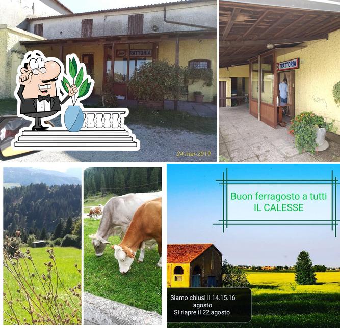 Gli esterni di Trattoria Il Calesse