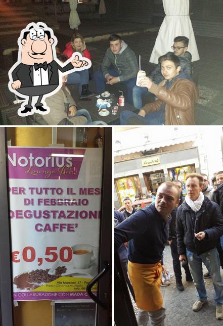Gli interni di Notorius