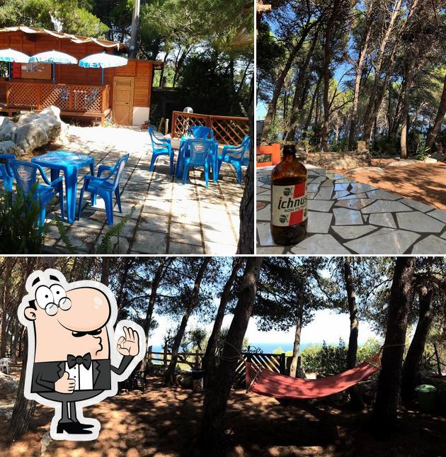 Ecco un'immagine di Chiosco Bar La Pineta