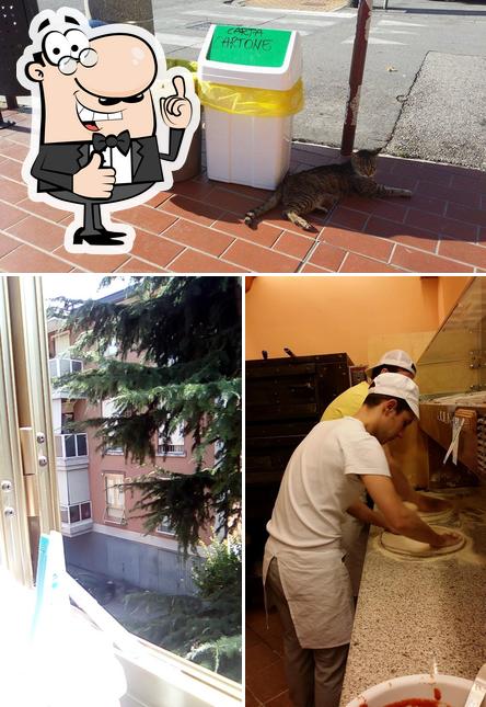 Immagine di Rosticceria Pizzeria Guizza