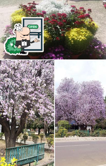 The exterior of Nescafe